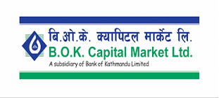 BOK Capital Market Ltd.